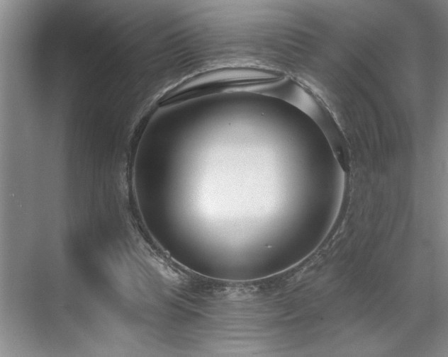 X0000071820345200606301258
