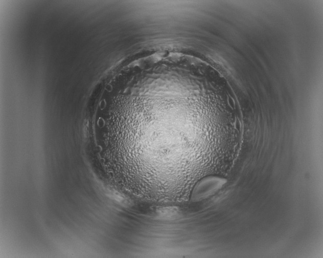X0000071820355200606301259