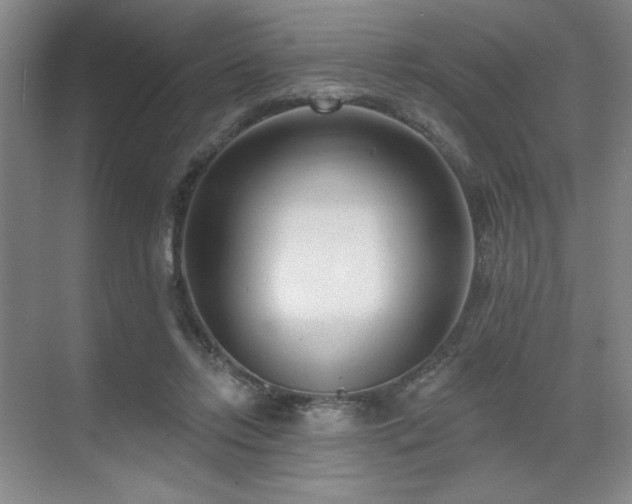 X0000071820358200606301259