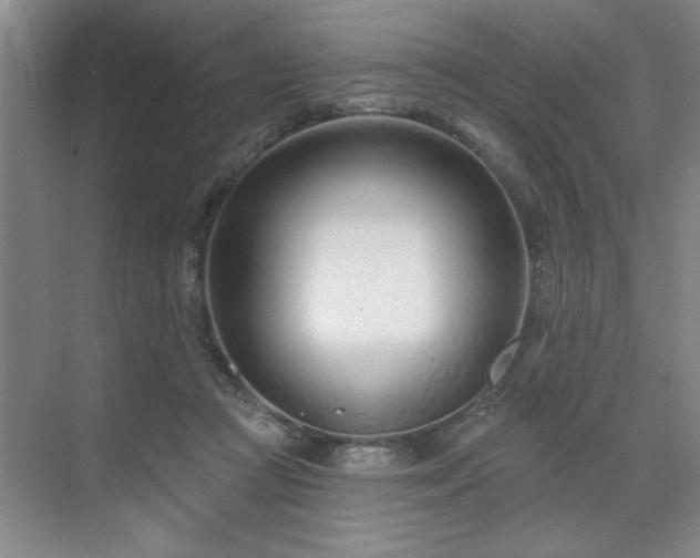 X0000071820361200606301259