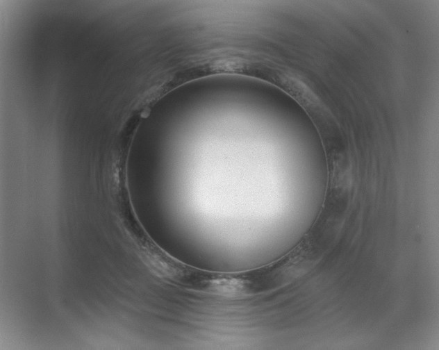 X0000071820363200606301259