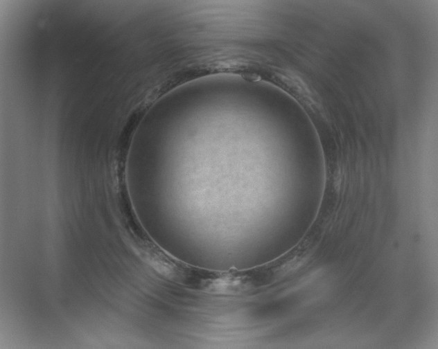 X0000071820366200606301259