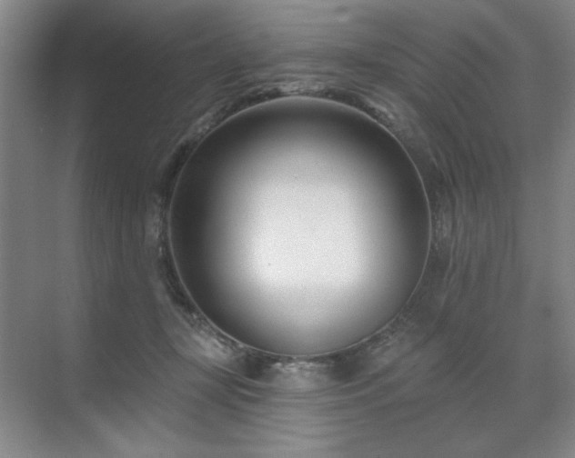 X0000071820367200606301259