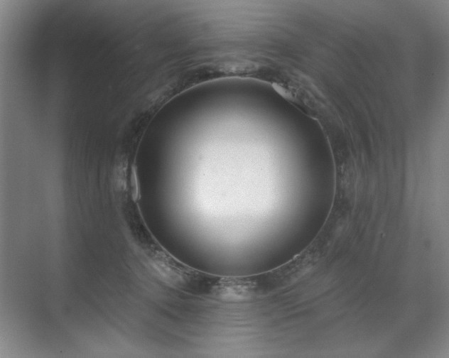 X0000071820368200606301259