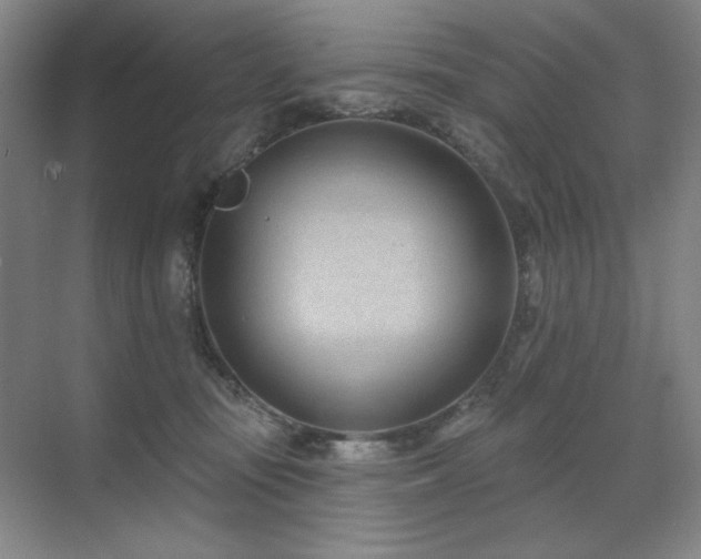 X0000071820371200606301259