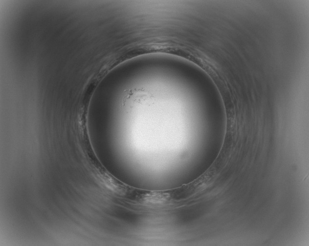 X0000071820373200606301259