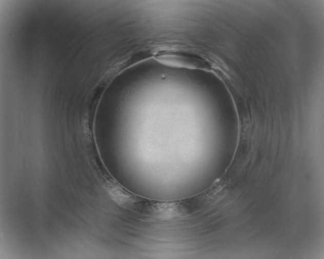 X0000071820377200606301259