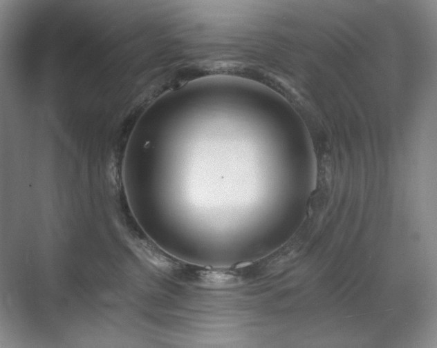 X0000071820380200606301259