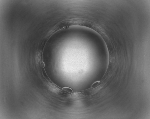 X0000071820382200606301259