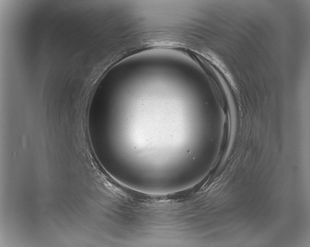 X0000071820385200606301258