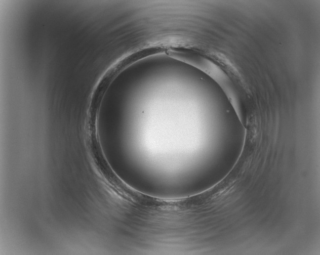 X0000071820392200606301258