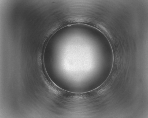 X0000071820394200606301258