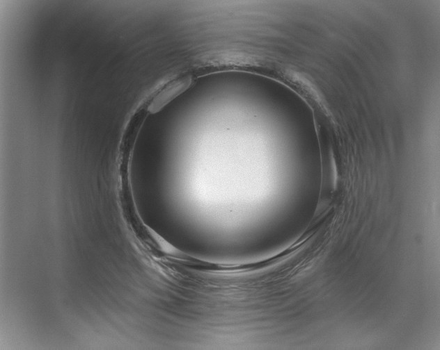X0000071820395200606301258