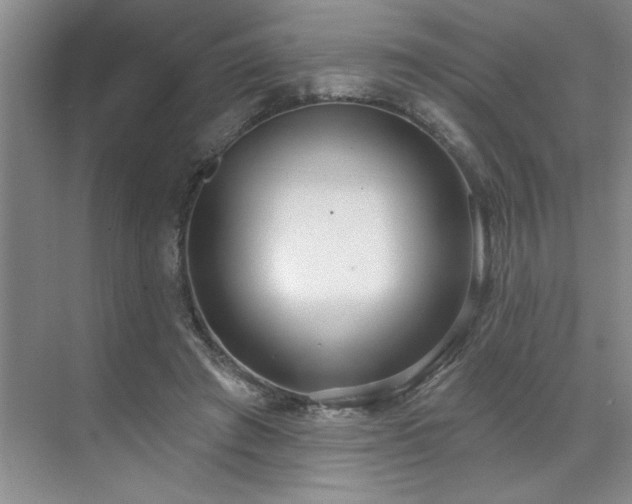 X0000071820401200606301258