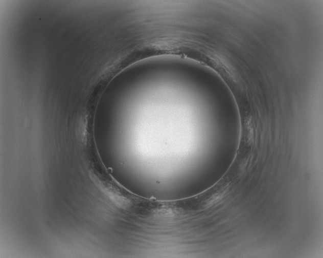 X0000071820404200606301258