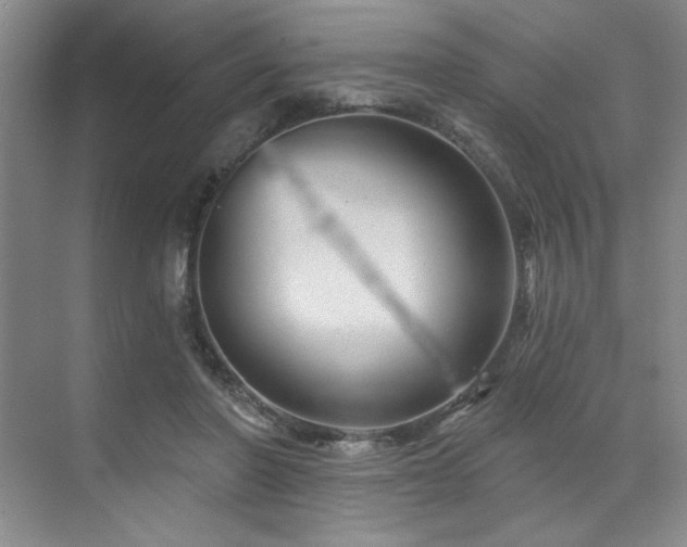 X0000071820406200606301258