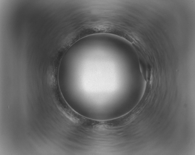 X0000071820408200606301258