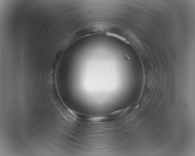 X0000071820413200606301258