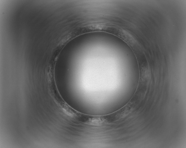 X0000071820414200606301258