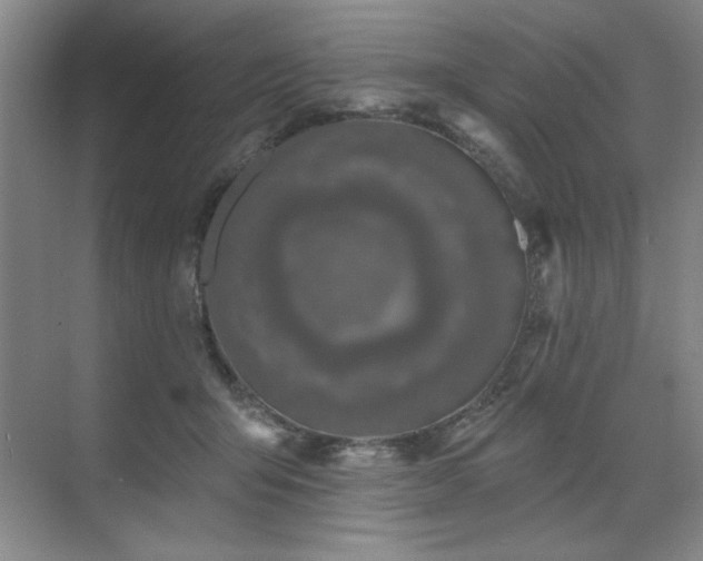 X0000071820415200606301258