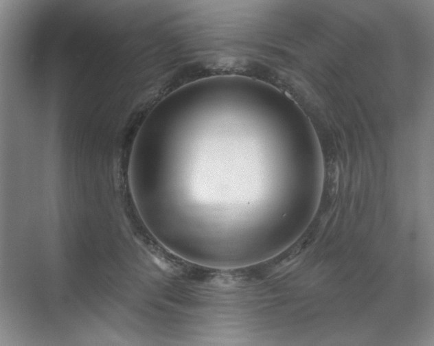 X0000071820416200606301258