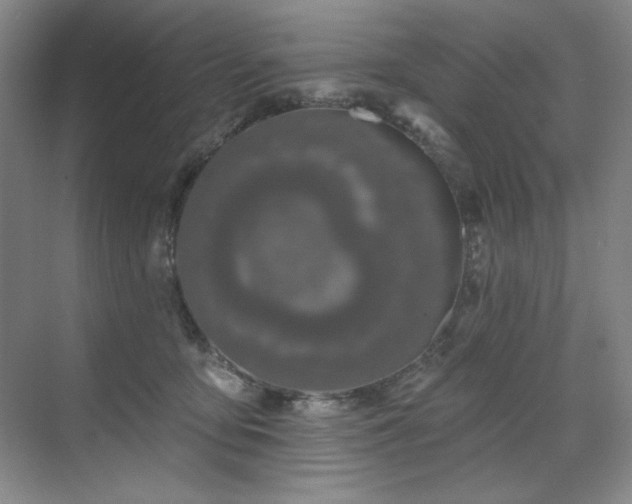 X0000071820419200606301258