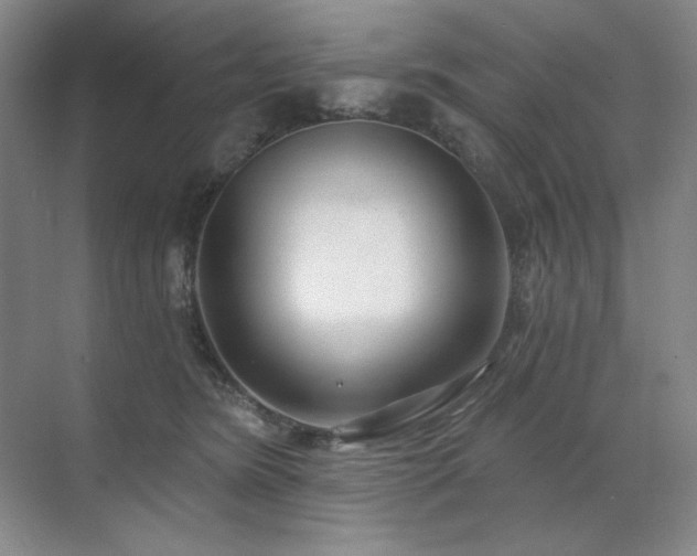 X0000071820420200606301258