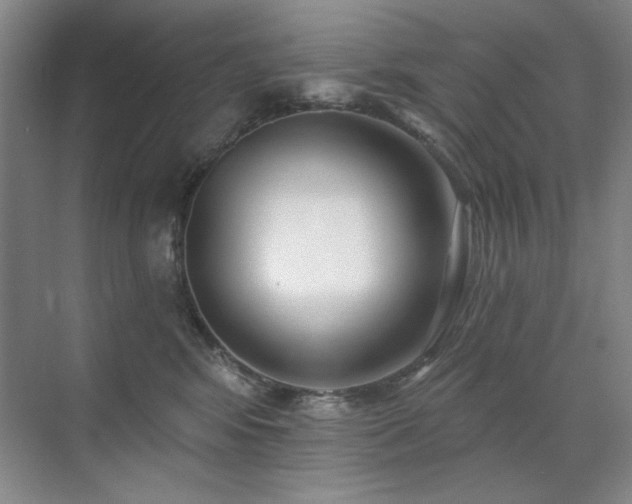 X0000071820424200606301258