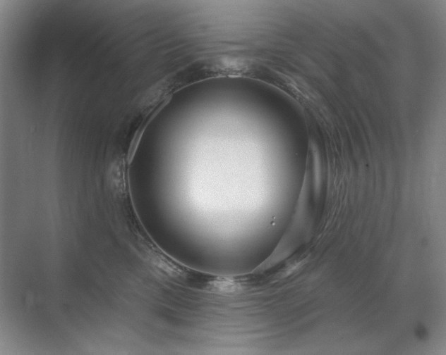 X0000071820425200606301258
