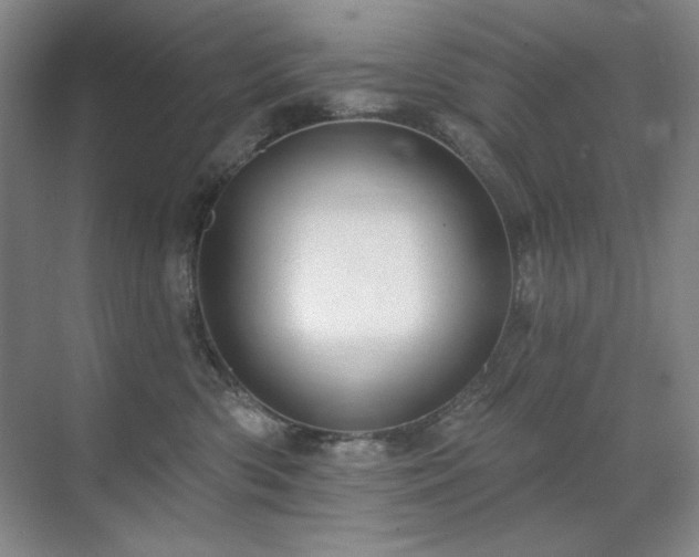 X0000071820426200606301258