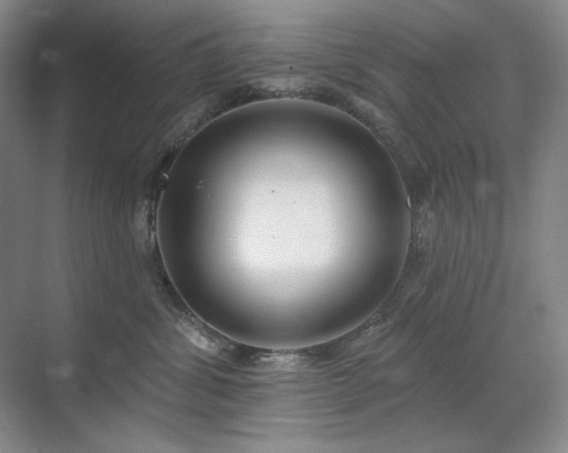 X0000071820428200606301257