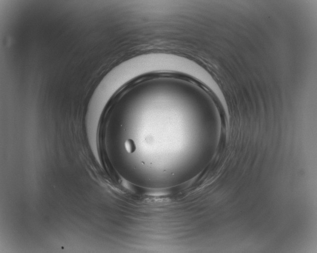 X0000071820429200606301257