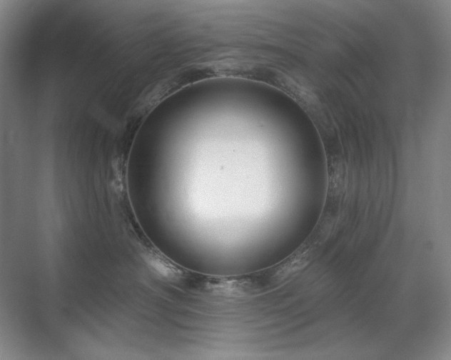 X0000071820430200606301257