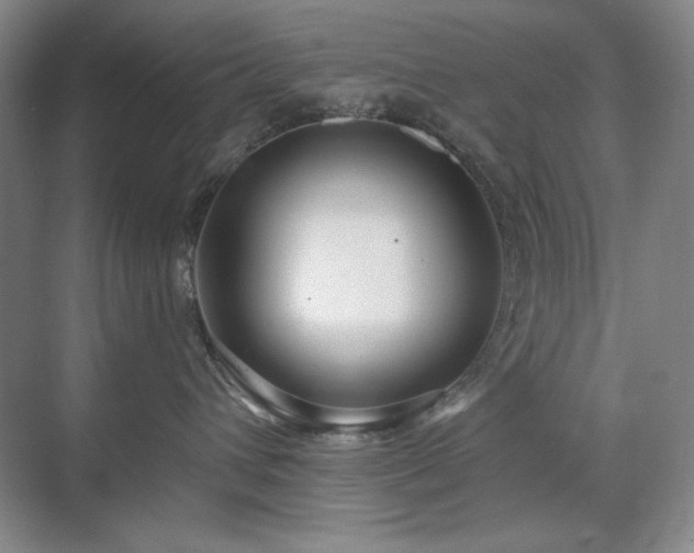 X0000071820432200606301257