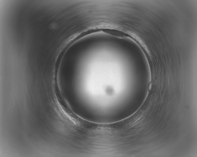 X0000071820437200606301257