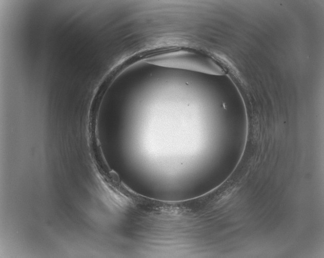 X0000071820439200606301257
