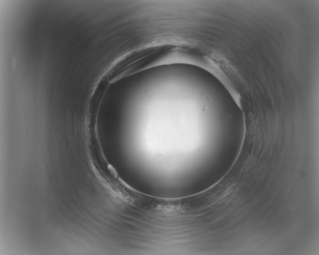 X0000071820440200606301257