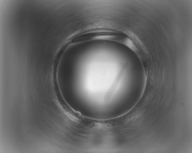 X0000071820442200606301257