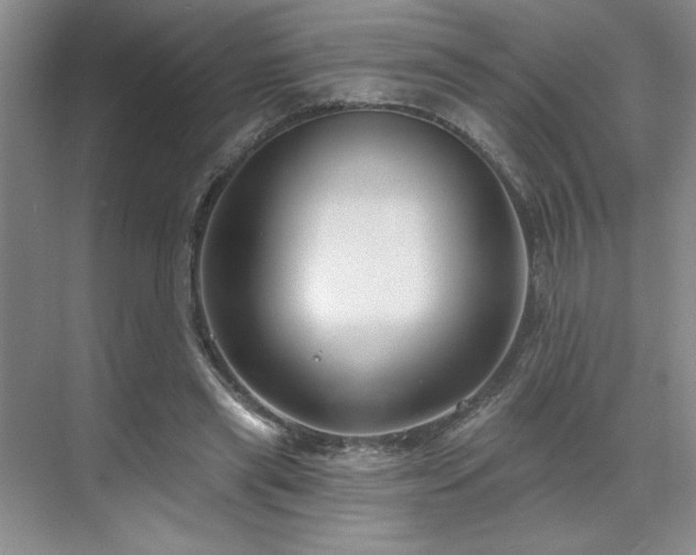 X0000071820445200606301257