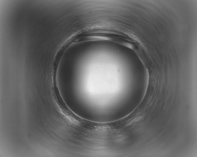 X0000071820446200606301257