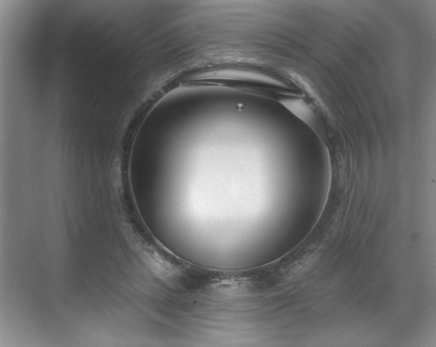 X0000071820447200606301257