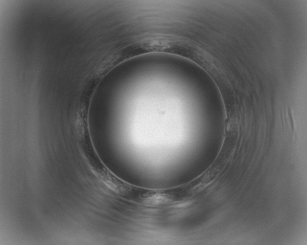 X0000071820460200606301257
