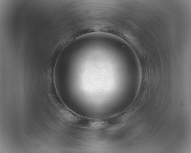 X0000071820461200606301257