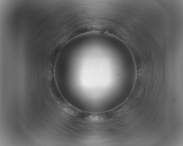 X0000071820464200606301257