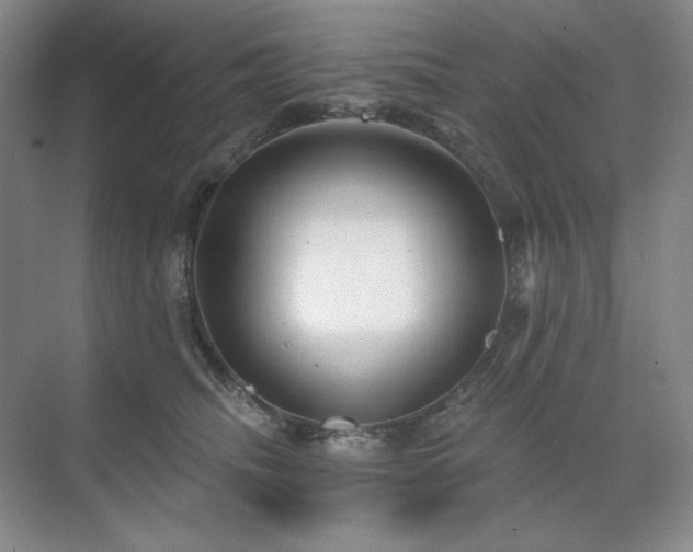 X0000071820468200606301257