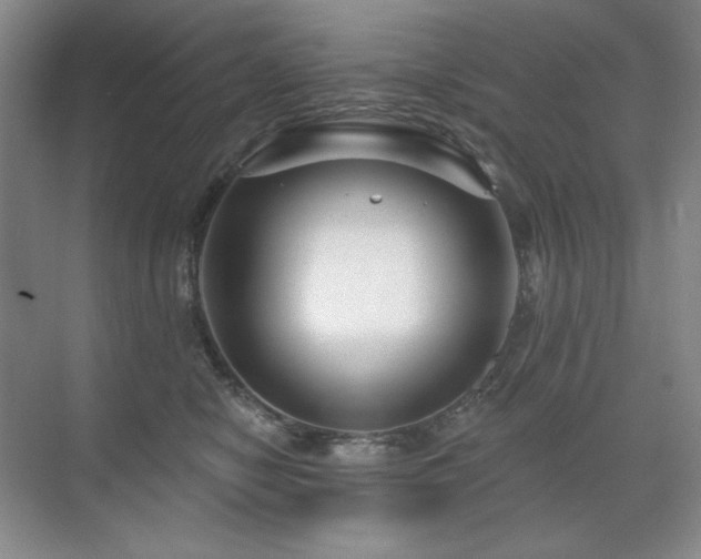 X0000071820470200606301257