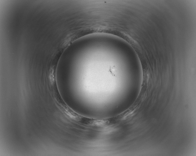 X0000071820479200606301257