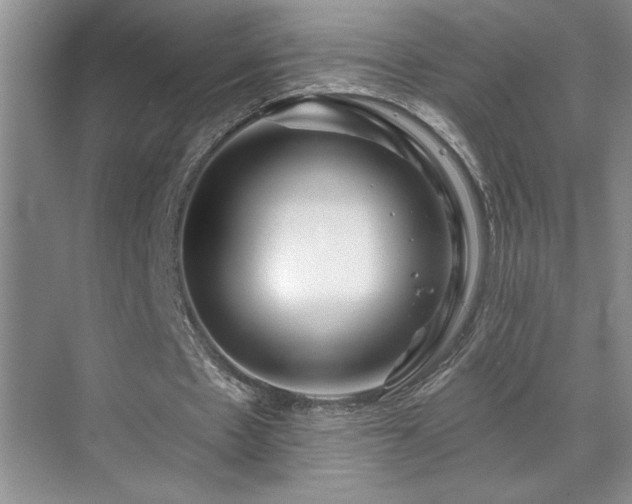 X0000071820481200606301257