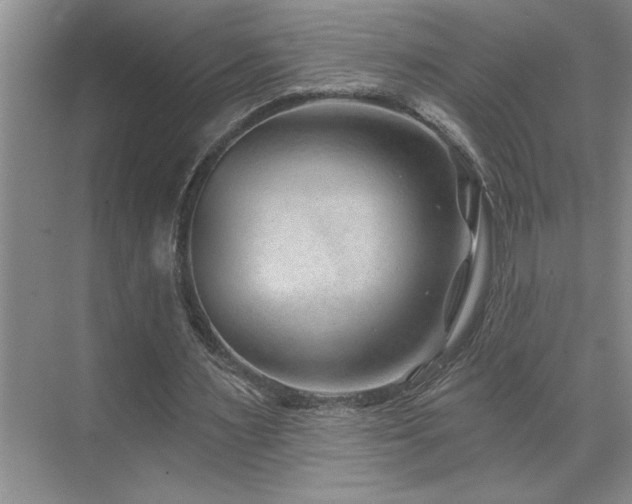 X0000071820483200606301257