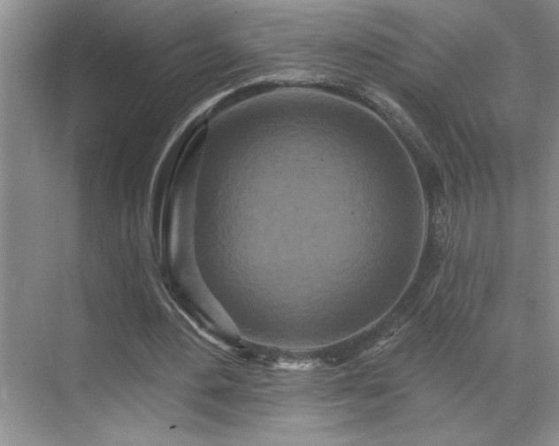 X0000071820484200606301257